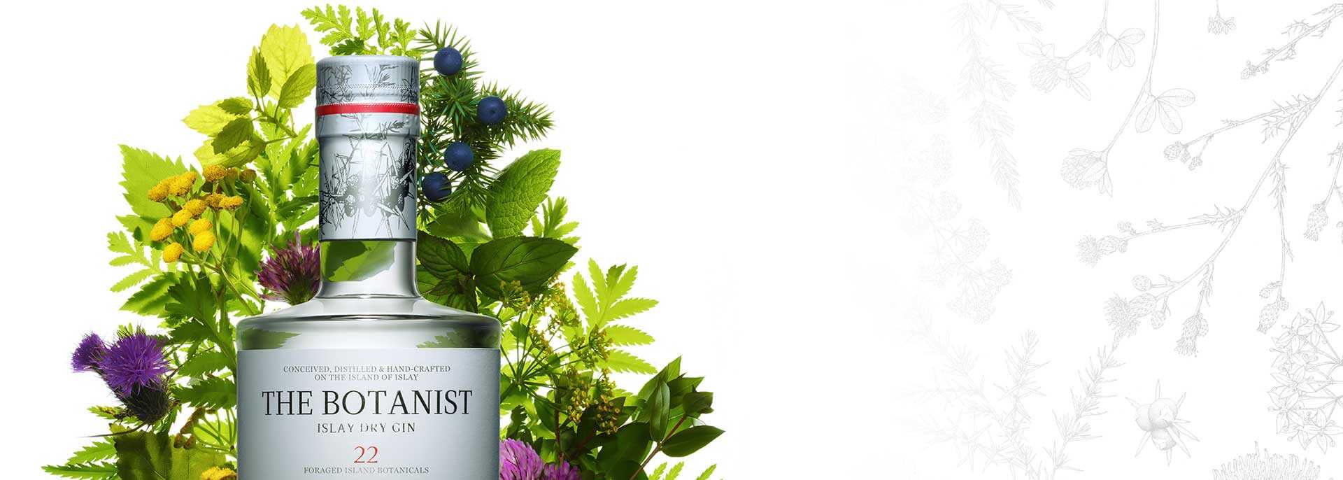 The Botanist - wielowymiarowy gin z wyspy Islay w ofercie